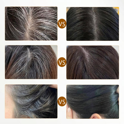 Hair Color Dye Stick Comb 2 in 1